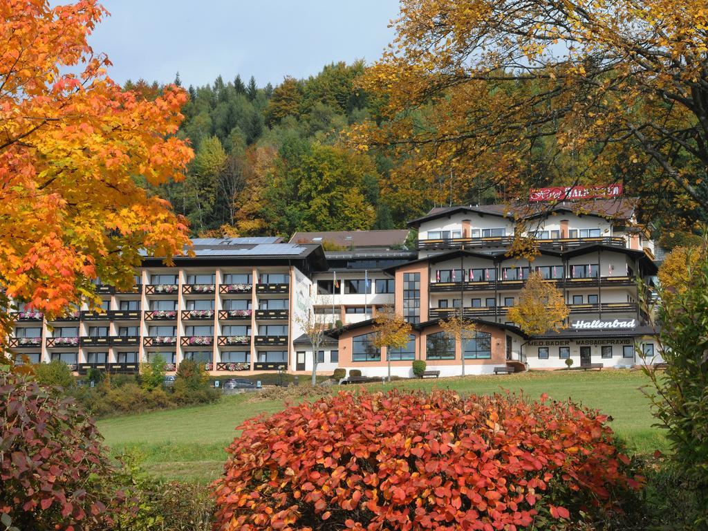 Wellness- Und Ferienhotel Waldesruh Bodenmais Exteriér fotografie